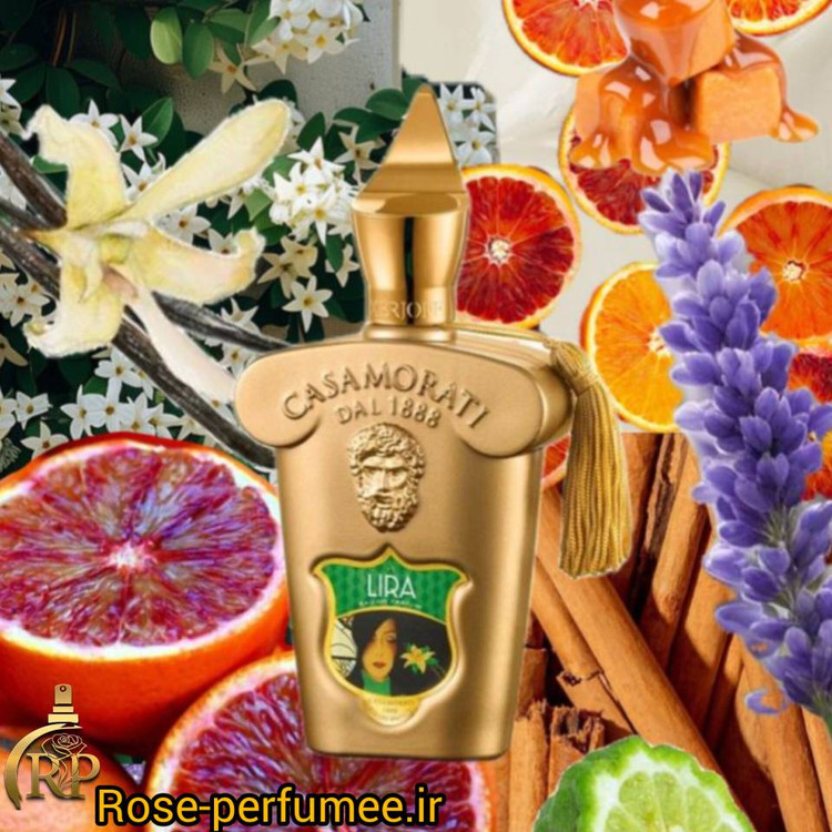 عطر کازاموراتی زرجف لیرا اکسترا پرفیوم | Xerjoff Casamorati Lira