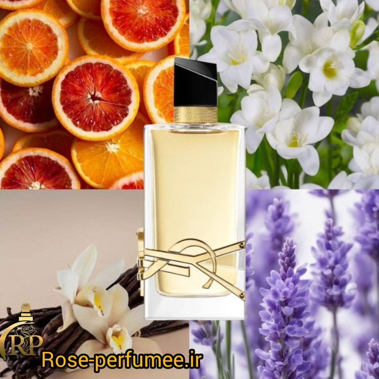 عطر ایو سن لورن لیبره زنانه اکسترا پرفیوم Yves Saint Laurent Libre